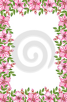 Watercolor cherry blossom frame on white background