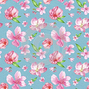 Watercolor cherry blossom seamless pattern. hand painted pink flowers of sacura tree on blue textured background. Botanical