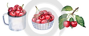 Watercolor cherry hand drawn illustration isolated