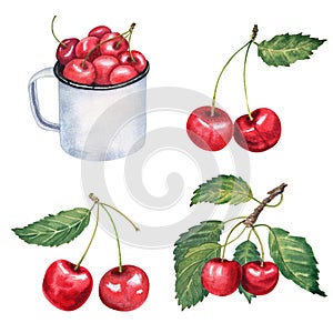 Watercolor cherry hand drawn illustration isolated