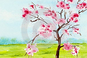 Watercolor of a cherry tree against blue sky.