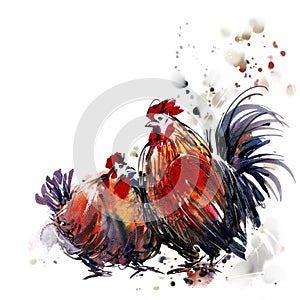 Watercolor chicken Animal Annual 2560/2017