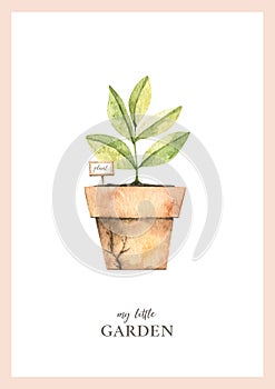 Watercolor childish poster with garden plant in vintage pot. Garden harvest illustration. Greenhouse. Children room decor. Perfect