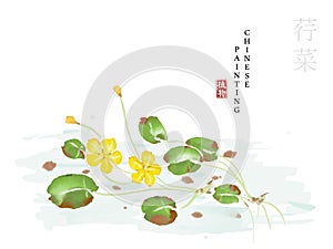 Watercolor Chinese ink paint art illustration nature plant from The Book of Songs Nymphoides peltatum. Translation for the Chinese