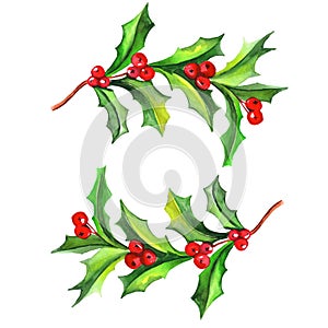 Watercolor Christmas arrowhead plant, red berries ,holly plant frame