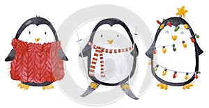 Watercolor christmas baby penguin set