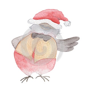 Watercolor Christmas bird in a Santa Claus hat hand drawn illustration isolated