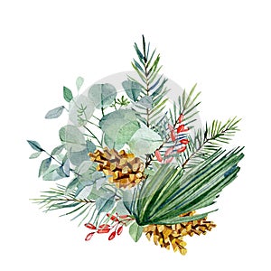 Watercolor Christmas bouquet with fir branches, leaves, pine cone, red barries. Winter greenery banner  for christmas card