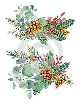 Watercolor Christmas bouquet with fir branches, poinsettia, red barries, eucalyptus branches. Winter floral greenery banner