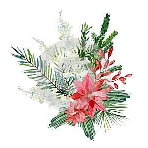 Watercolor Christmas bouquet with fir branches, poinsettia, red barries, pampas grass. Winter floral greenery banner