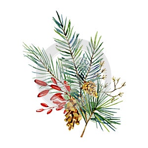 Watercolor Christmas bouquet with fir branches, red barries, pine cone. Winter greenery banner  for christmas card