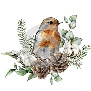 Watercolor Christmas bouquet with robin redbreast, cotton and fir branches. Hand painted holiday card with flowers and