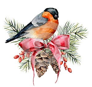 Watercolor Christmas card with bullfinch and winter design. Hand painted bird with pine cones, red bow, berries, fir