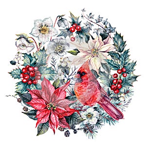 Akvarel vánoční pozdrav kardinál pták a vánoční 