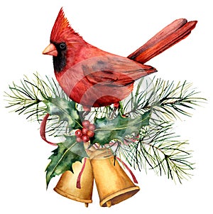 Watercolor Christmas card with red cardinal and winter design. Hand painted bird with bells, holly, red bow, berries