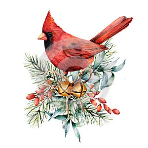 Watercolor Christmas card with red cardinal and winter plants. Hand painted bird with bells, holly, red bow, berries