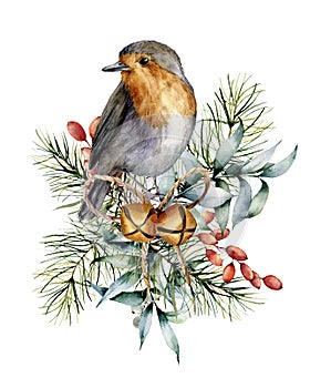 Watercolor Christmas card with robin, bells and winter design. Hand painted bird with eucalyptus leaves, golden bells