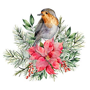 Aquarell weihnachtsgrüße a Dekoration. bemalt vogel Weihnachten Beeren tanne a 