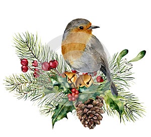 Watercolor Christmas composition with bird. Hand painted robin with fir and berry branch, mistletoe, holly, pine cone