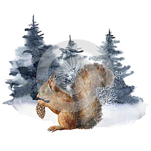 Watercolor Christmas composition with squirrel and winter forest. Hand painted holiday card with fir, animal and cones