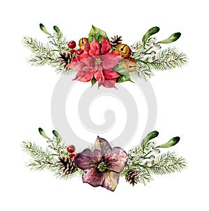 Watercolor Christmas floral elements set. Vintage style winter set with christmas tree branches, hellebore, holly