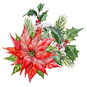 Watercolor christmas flowers