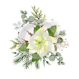 Watercolor christmas flowers arrangement. White poinsettia, branches of spruce and winter greenery for greeting cards and