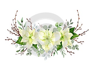 Watercolor christmas flowers arrangement. White poinsettia, branches of spruce and winter greenery for greeting cards and