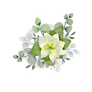 Watercolor christmas flowers arrangement. White poinsettia, branches of spruce and winter greenery for greeting cards and