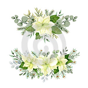 Watercolor christmas flowers arrangement. White poinsettia, branches of spruce and winter greenery for greeting cards and