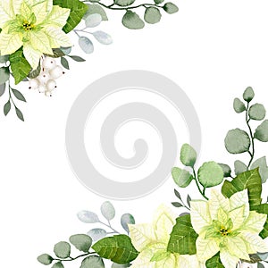 Watercolor christmas flowers frame template. White poinsettia, branches of spruce and winter greenery for greeting cards and