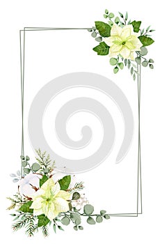 Watercolor christmas flowers frame template. White poinsettia, branches of spruce and winter greenery for greeting cards and