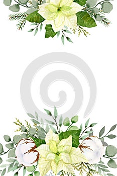 Watercolor christmas flowers frame template. White poinsettia, branches of spruce and winter greenery for greeting cards and