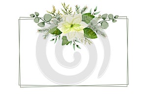 Watercolor christmas flowers frame template. White poinsettia, branches of spruce and winter greenery for greeting cards and