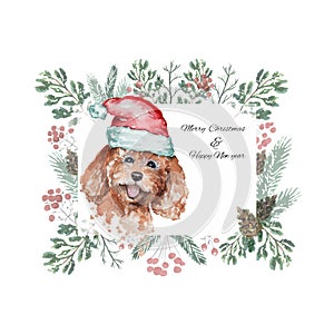 Watercolor Christmas frame with dog poodle in a red Santa`s cap