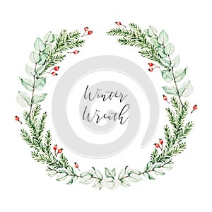 Watercolor christmas illustration. Winter botanical wreath with eucalyptus, fir tree branches and holly. Xmas artwork with floral