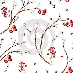 Watercolor Christmas natural seamless pattern of tree branches, red berries