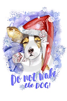 Watercolor for Christmas and new year, dog in santa claus hat, winter hat
