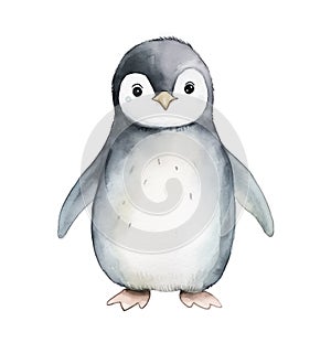 Watercolor christmas penguin isolated on white background