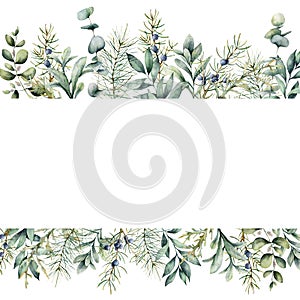 Watercolor Christmas plants banner. Hand painted juniper, snowberry, fir and eucalyptus branch isolated on white