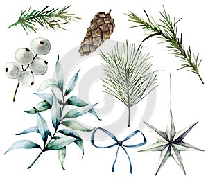 Watercolor Christmas plants and decor. Hand painted fir branches, eucalyptus leaves, white berries, star, fir cone, bow