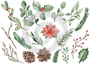 Watercolor Christmas plants, flowers, branches, spruce, pine, eucalyptus, berries, christmas 2023
