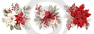 Watercolor Christmas poinsettia flowers and floral elements hand drawn decoration