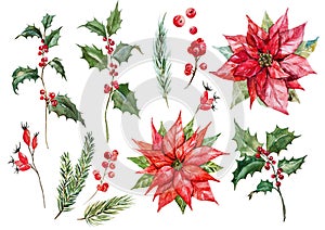 Watercolor christmas poinsettia set