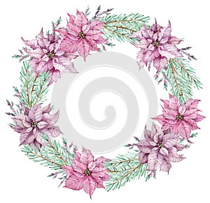 Watercolor Christmas poinsettia wreath with pine branches. Circle winter frame. New Year`s floral card.