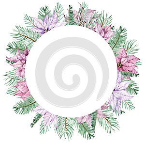 Watercolor Christmas poinsettia wreath with pine branches. Circle winter frame. New Year`s floral card.