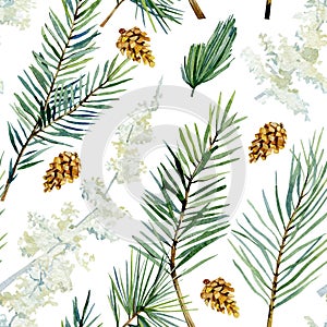 Watercolor christmas seamless pattern with fir branch. twigs spruce, pampas grass, pine cone, winter greenery  for to the textile