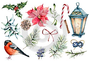 Acquerello simboli impostato. mano dipinto impianti evviva uccello decorazione isolato su sfondo bianco 