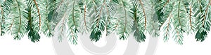 Watercolor Christmas tree border isolated on the white background. Green pine branch header. Hand-drawn Illustration.