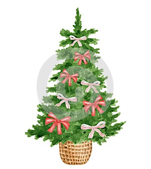 Watercolor Christmas tree decorated with red ribbon bows illustration. Hand painted evergreen fir tree in wicker basket